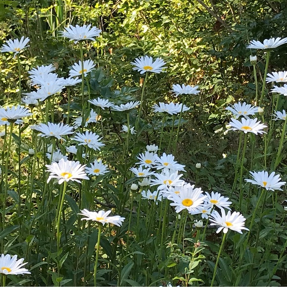 Ruth @ ModeBay 🇨🇦 ⭐️⭐️⭐️⭐️⭐️ - Picture 12 of 12